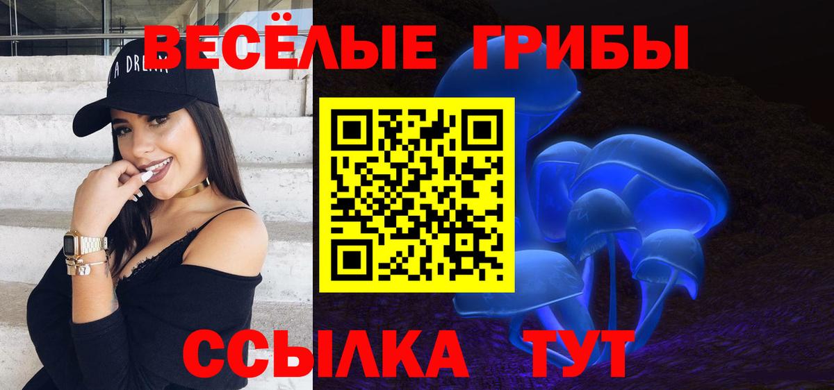 Галлюциногенные грибы Cubensis Сертолово